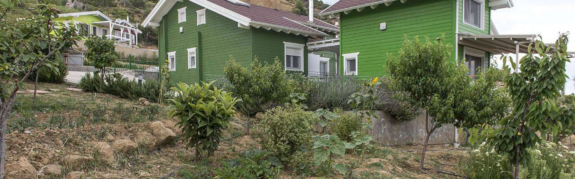 Καλλιεργούμε τα λαχανικά μας και την ψυχή μας